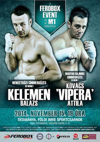 File:Official poster 2014-11-15.jpg