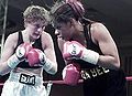 Thumbnail for version as of 21:16, 27 January 2012