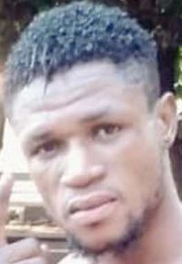 File:Opaogun.jpeg