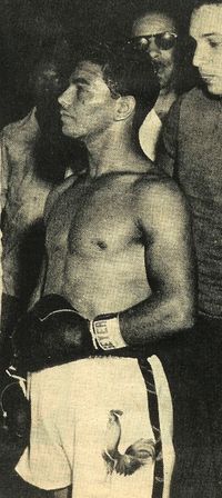 File:Orlando Castillo- Gallito del Ring.jpg