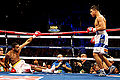 Thumbnail for version as of 21:47, 15 May 2013