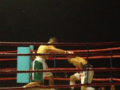 Thumbnail for version as of 02:12, 20 November 2011