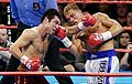 Oscar De La Hoya vs. Arturo Gatti.jpg