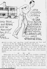 Otto O'Keefe Cartoon.jpg