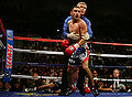 PAC-HATTON.jpg