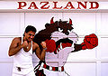 PAZLAND.jpg