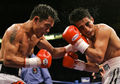 Pacquiao-Morales II-16290088.jpg