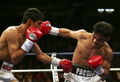 Pacquiao-Morales III 72600819.jpg