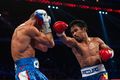 Pacquiao Algieri 459444888.jpg