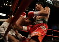 Pacquiao Morales I 52455826.jpg