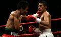 Pacquiao Morales I 52455829.jpg