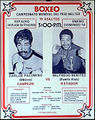 Palomino-Benitez poster.jpg
