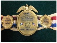 File:ParetRingBelt.JPG