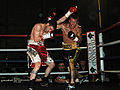 Thumbnail for version as of 08:05, 12 April 2011