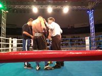 File:Patrick Teixeira vs. Davi Eliasquevici (02).jpg