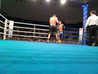 File:Patrick Teixeira vs. Davi Eliasquevici (102).jpg