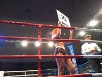 File:Patrick Teixeira vs. Davi Eliasquevici (109).jpg
