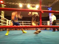 File:Patrick Teixeira vs. Davi Eliasquevici (26).jpg