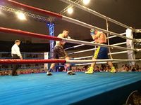 File:Patrick Teixeira vs. Davi Eliasquevici (34).jpg