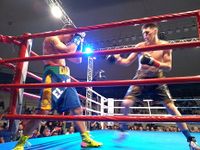 File:Patrick Teixeira vs. Davi Eliasquevici (46).jpg