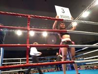 File:Patrick Teixeira vs. Davi Eliasquevici (55).jpg