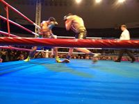 File:Patrick Teixeira vs. Davi Eliasquevici (64).jpg