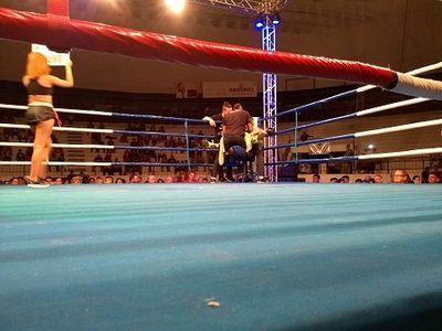 Patrick Teixeira vs. Davi Eliasquevici (71).jpg