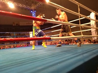 Patrick Teixeira vs. Davi Eliasquevici (81).jpg