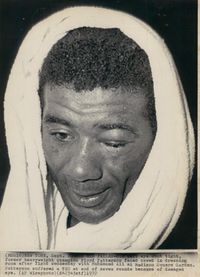 File:Patterson72.jpg