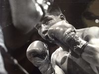 File:Paul Banke the eyes of a warrior.jpg