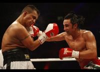 File:Paul Malignaggi vs. Michael Lozada.jpg