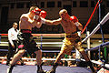 Thumbnail for version as of 19:50, 14 April 2011