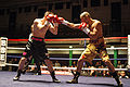 Thumbnail for version as of 20:53, 4 April 2011