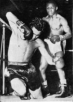 Peacock v Macias.jpg