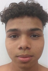 File:Pedro Henrique Queiroz Da Silva.jpeg