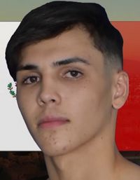 File:Pedro Penunuri Borgaro.jpg