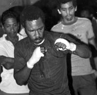 File:PedwebHANDwraps.jpg