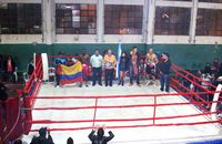 File:Peleasanabria.jpg