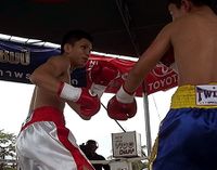 File:Petch Sor Chitpattana vs. Numphol Kiatpracha.jpg