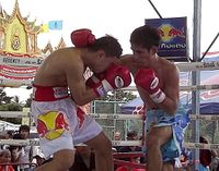 File:Petchsakda Por Suwannachoke VS Yodsastra Duanaaymukdaharn.jpg