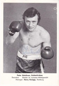 File:Peter Scheibner.jpg