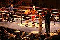 Pierson-Richard-vs-Lupe-Diaz-MppRef.jpg
