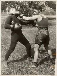 File:PincersVilla.jpg