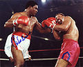Pinklon Thomas vs. Trevor Berbick . Fasan.jpg
