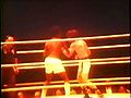 Podgorski Golden Gloves make a jpg.jpg