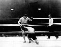Primo Carnera vs. Elzear Rioux . 325. Fasan.jpg