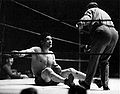 Primo Carnera vs. Jose Santa . Fasan 253.jpg