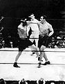 Primo Carnera vs Jim Maloney . Fasan.jpg