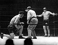Primo Carnera vs Jose Santa . 02. Fasan.jpg