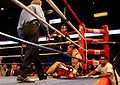 Pro-boxing-IL-USA.jpg